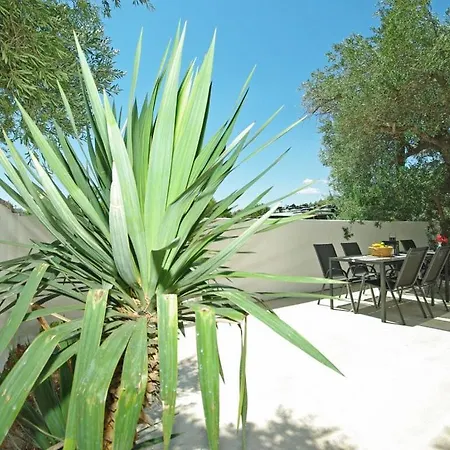 Apartment Dado *